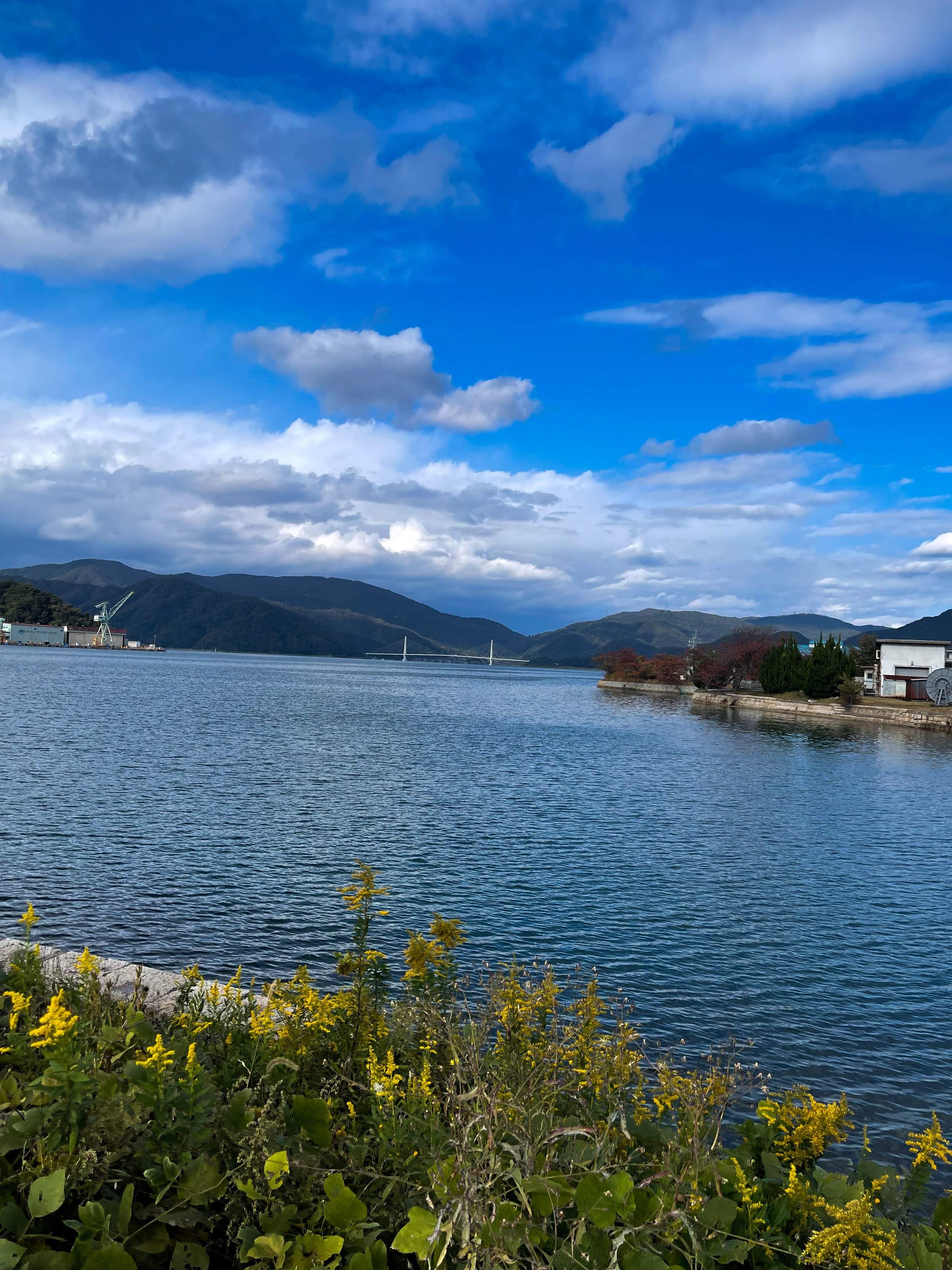 🍣 마이즈루항 토레토레센터 휴게소 (미치노에키 마이즈루코 토레토레센타) 이미지 8